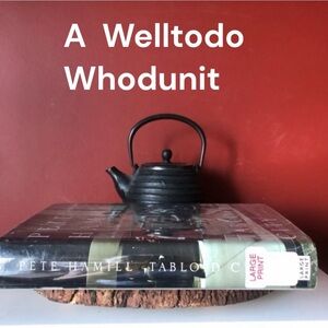 👛 (ANY 4/$20) Fiction Book TABLOID CITY, Author Pete Hamill, Large Print Edition